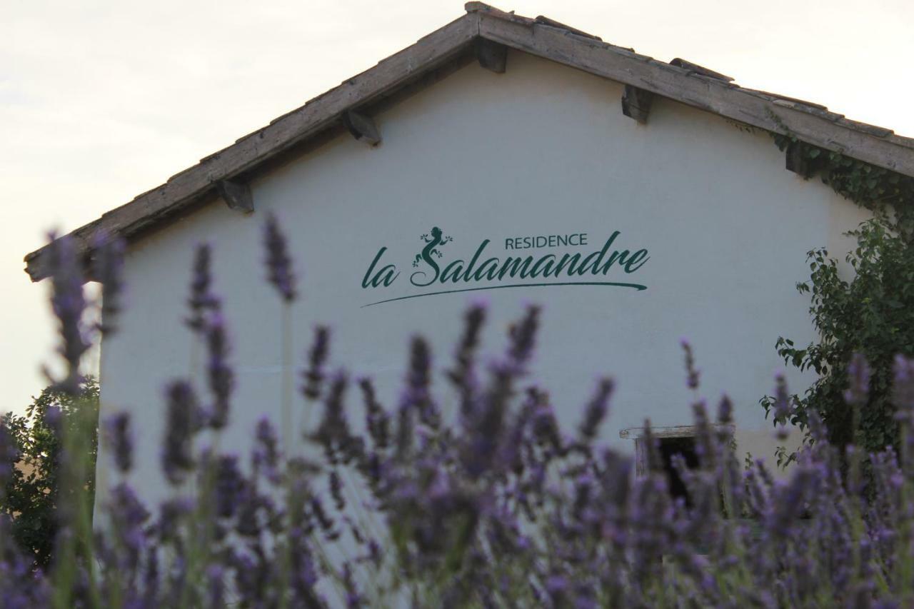 Residence La Salamandre Kamers Rabastens Bagian luar foto